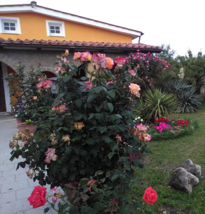 Lake Bracciano House | La casetta di samba