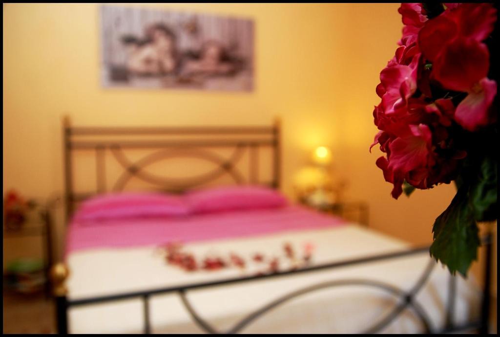 Viterbo House | La Casina Nel Borgo