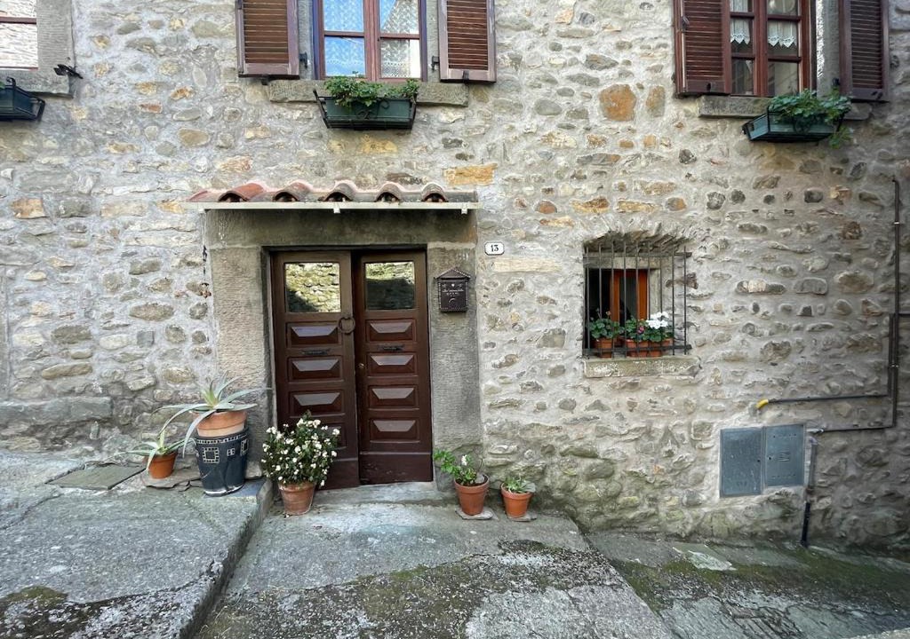 Bagnone House | La castagna