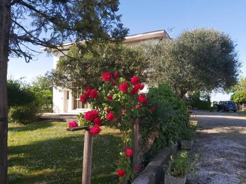 Montegaldella Apartment | La Celeste a Montegaldella -VI - Italia