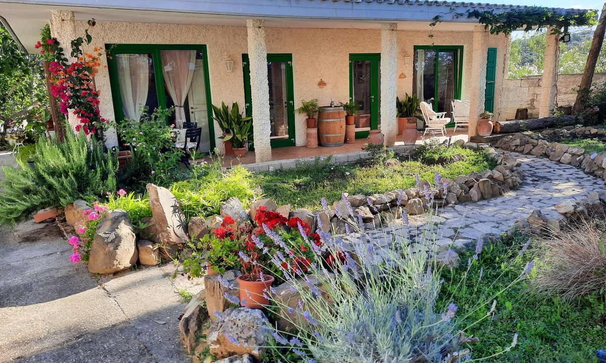 Santa Marinella Apartment | La Lomita - Acacia