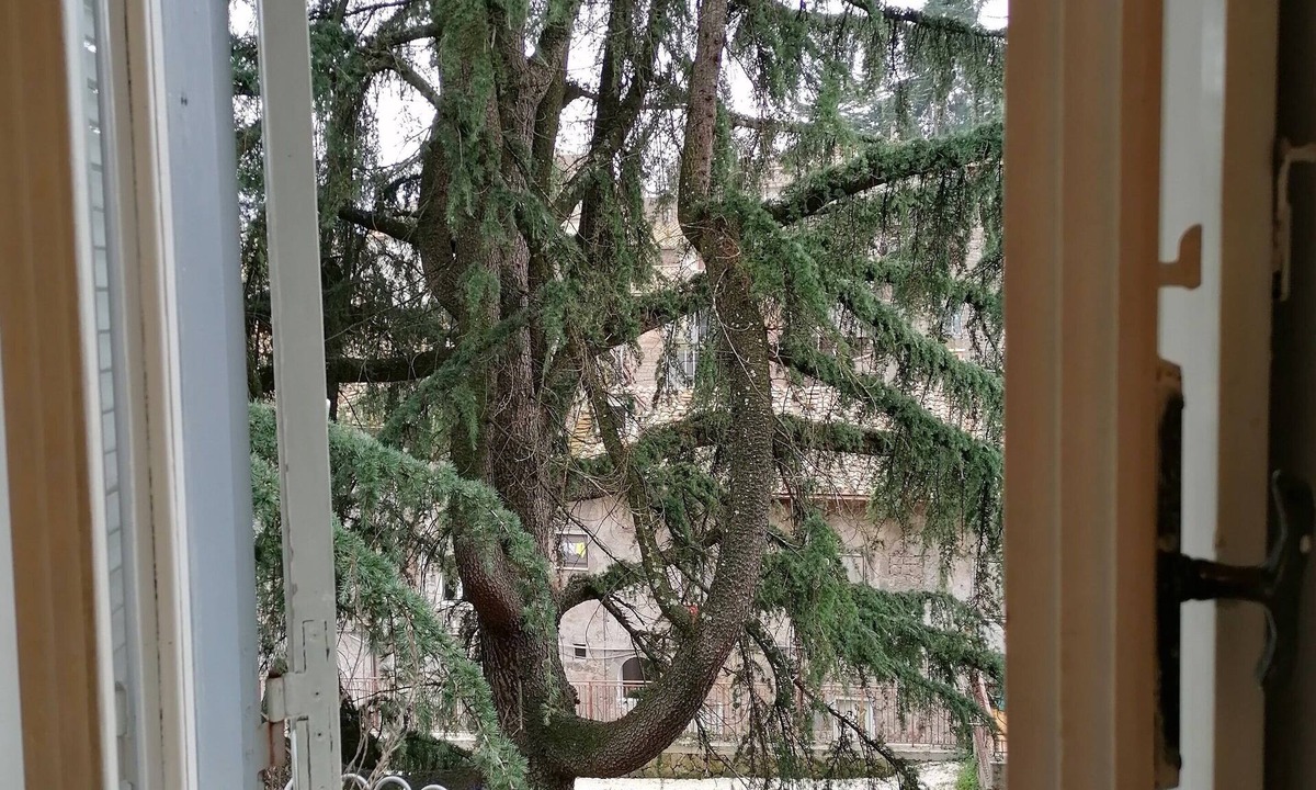 Ronciglione Apartment | La Maisonette del Borgo