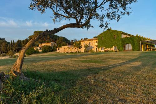 Castellina Marittima Villa | La Marrana - Castello del Terriccio