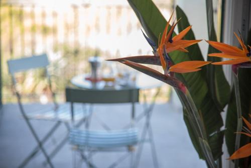 Cervo Apartment | La Strelitzia Cervo Mare