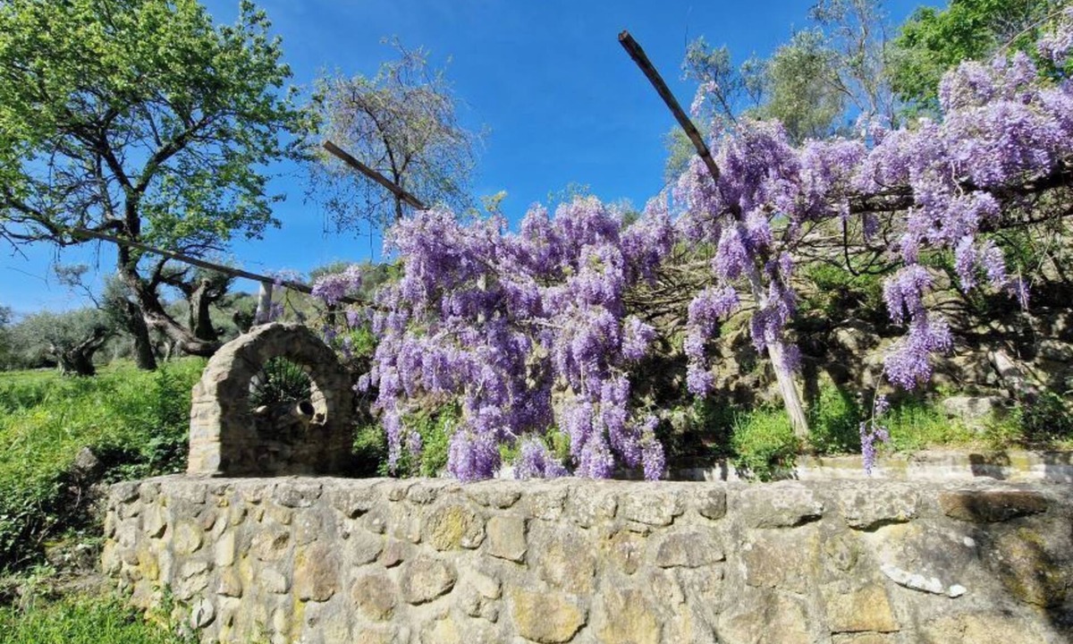 Allumiere Apartment | La Terza - Superior Triple Room - Organic Garden View