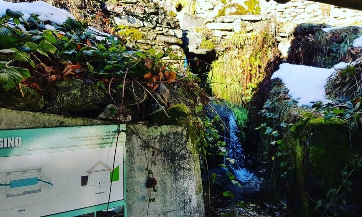 Calasca-Castiglione House | LADYBUG HOUSE SEMI DETACHED HOUSE