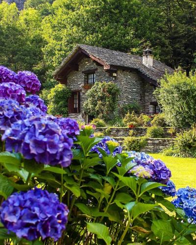 Piedilago Apartment | Le Primule