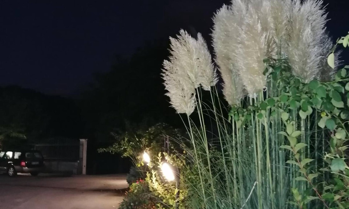 Cagnano Amiterno House | Le stanze di bacco