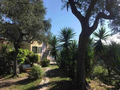 San Massimo Apartment | Les Oliviers