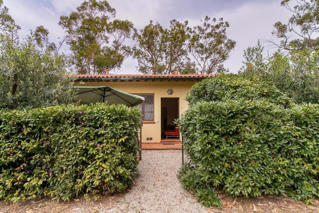 Bibbona House | Marina 1 - Bilocale