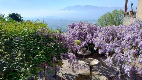 Anagni Apartment | Mirò