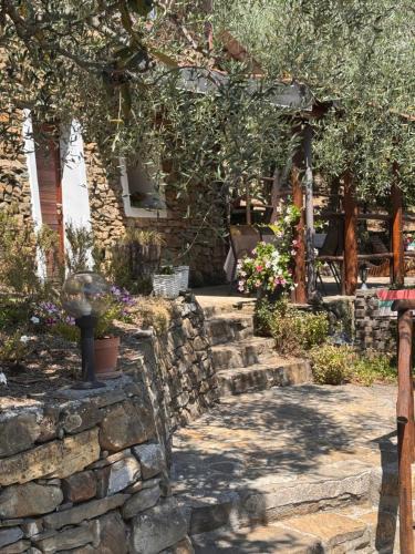 Apricale House | Nostro Rifugio