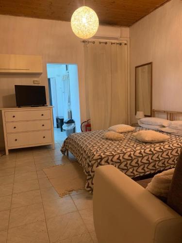 Navile Apartment | oasi di Villa Erbosa