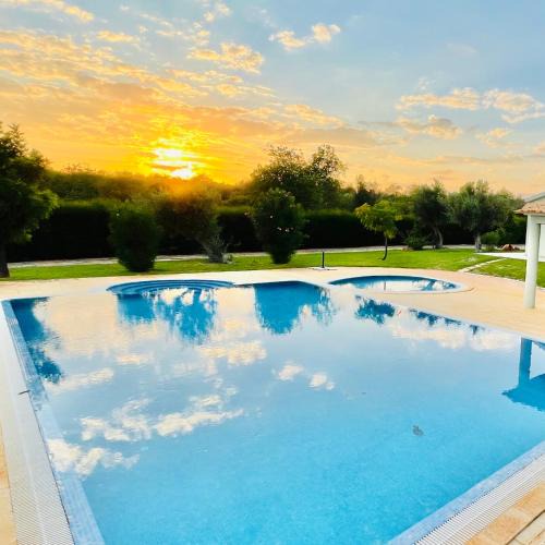 Silves Villa | Olive Villa