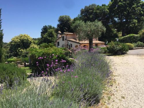 Campagnano di Roma Villa | Olivella