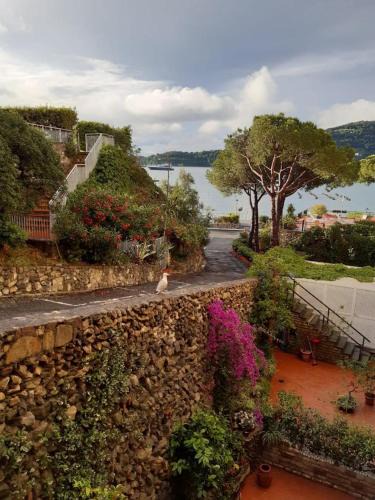 Portovenere Apartment | Olivo House 2