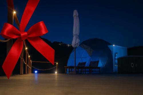 Ponza Other | Palmaria Sky Bubbles Room