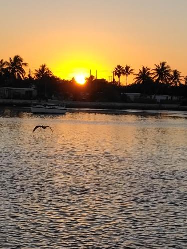 Key West Boat Rental | party like a local