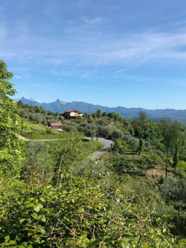 Licciana Nardi Apartment | Podere Bassi