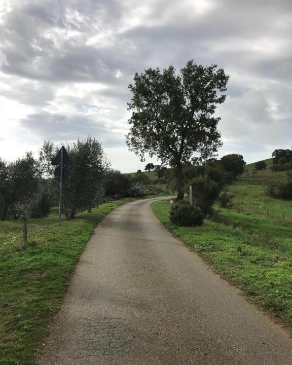 Magliano in Toscana House | Podere Pini