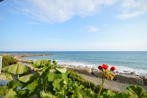 Riva Ligure Apartment | Riva Mare Apartment