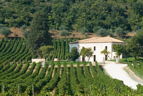 Popoli Bed & Breakfast | San Calisto camere con vigna