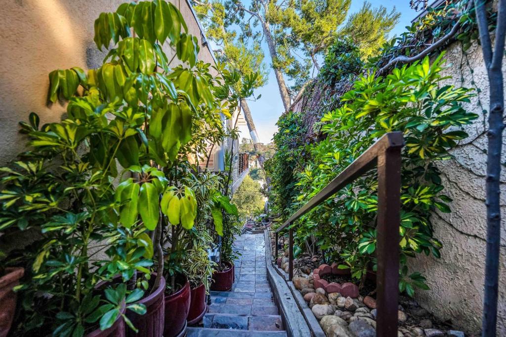 Hollywoodland Apartment | Secret Stairs Studio #1
