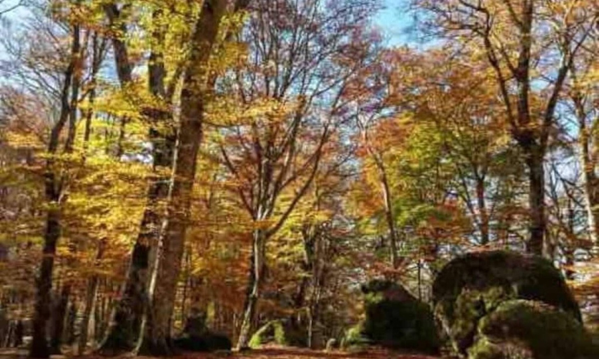 Soriano nel Cimino House | Simona's house in the woods - Villa Boutique