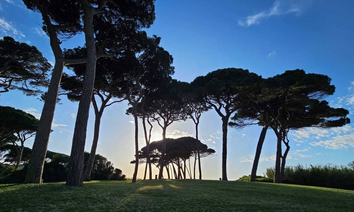 Piombino Apartment | Studio apartments near Baratti Bay