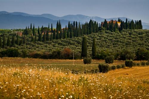Grosseto House | Tenuta di Poggio Cavallo