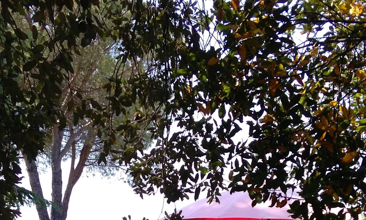 Amelia Villa | two farmhouses and swimming pool sleeps 6-8