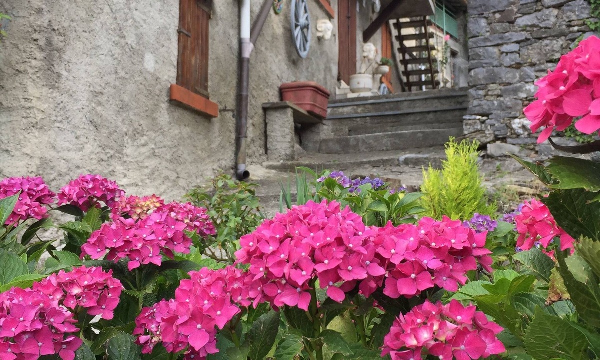 San Rocco in Turrite House | Typical Tuscany Village House, small private pool and relax