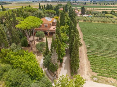 Campiglia Marittima Apartment | Villa I Tigli