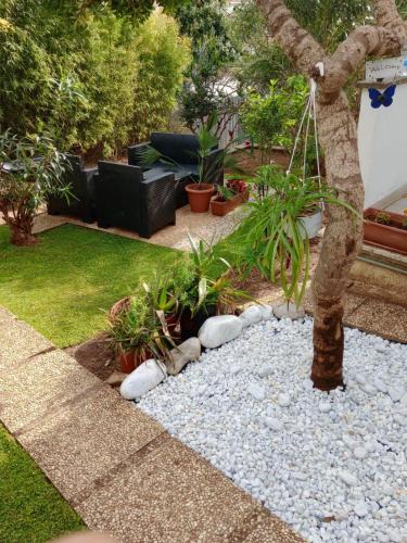 Anzio Apartment | Villa Nerina Alloggio Turistico Anzio