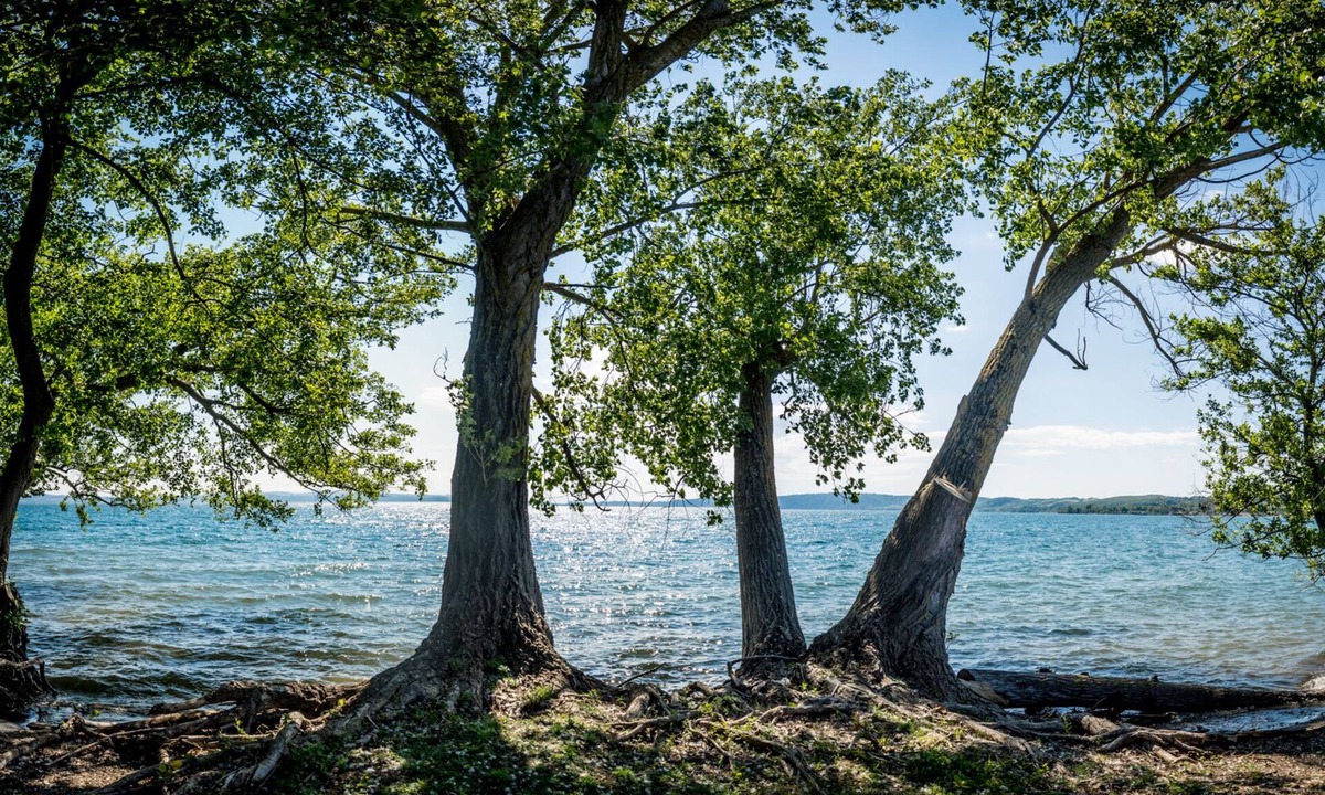 Lake Bracciano Villa | Villa pieds dans l'eau unique location with a private beach on the lake near Roma