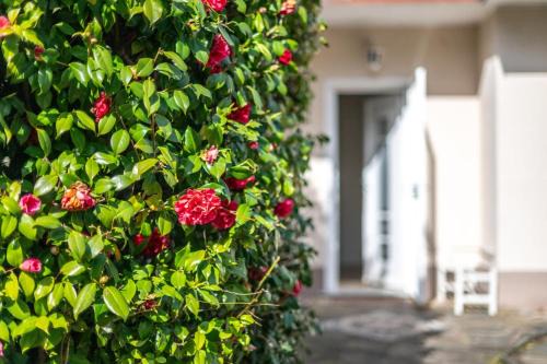 Pettenasco House | Villa Sofia casa con giardino e spiaggia condivisa