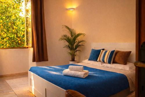 Civitavecchia Apartment | WHOLE HOLIDAY HOME APARTMENT LOVELY CIVITAVECCHIA da PAMINO & PRISCILLA