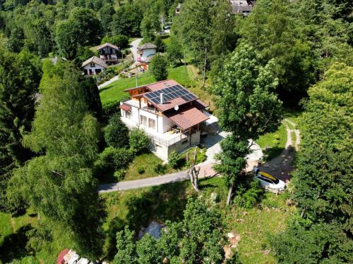 Mollia House | Wild Side