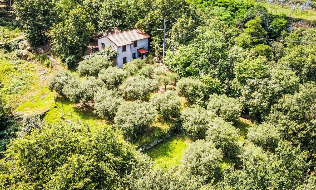 Rialto House | Wonderful private villa for 6 guests with WIFI, TV, patio and pets allowed