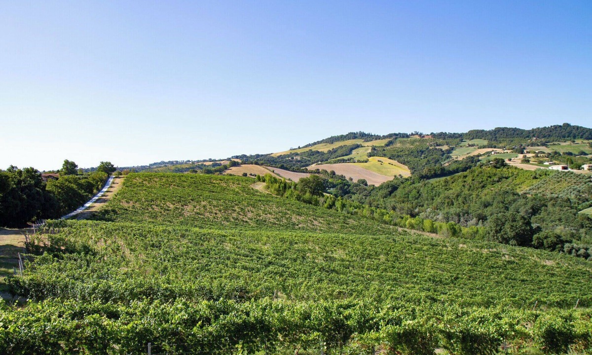 Cupramontana House | Wonderful villa for 6 guests with A/C, WIFI, TV, patio and panoramic view