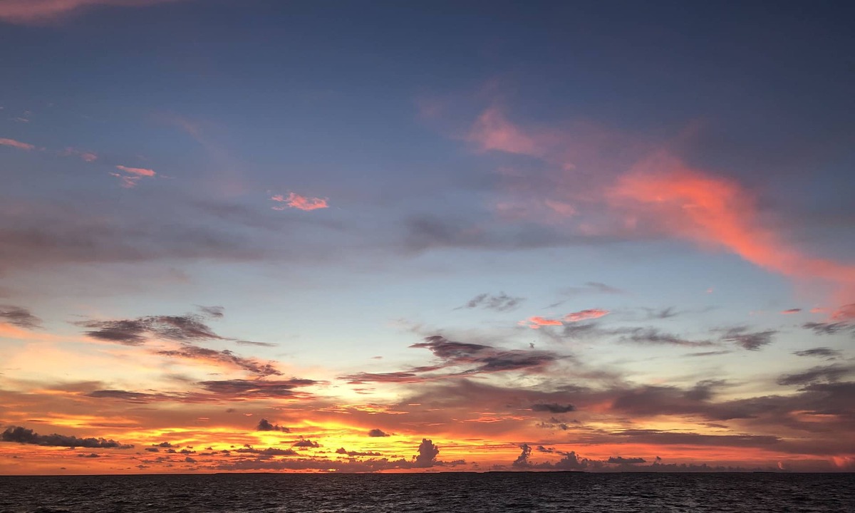 Tavernier Condo | Work remote, or not at all, in paradise at this cozy, beachy condo!