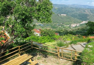 Cosy apartment in villa for 4 people with WIFI, TV, patio and pets allowed
