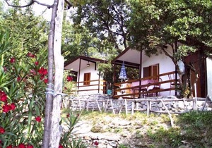 Cozy detached bungalow with veranda 10 km. from the sea