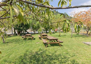 Nice apartment in Pietra Ligure with 1 Bedrooms, WiFi and Outdoor swimming pool