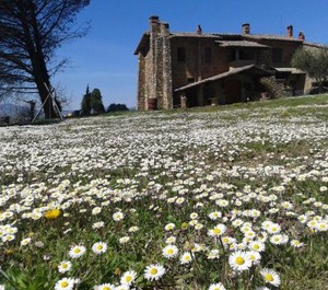 Agriturismo Le 