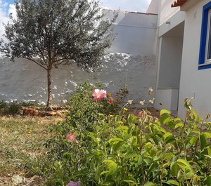 Quinta Da Farm 
