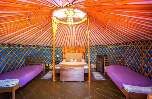 Borgo Val di Taro House | 4-bed yurt Lavender yurt
