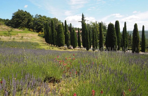 San Gimignano Apartment | 45 m² Apartment ∙ 1 bedroom ∙ 2 guests