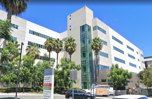Pico - Robertson Apartment | 5 minutes to Rodeo Drive! Guest suite in safe residential neighborhood. A+