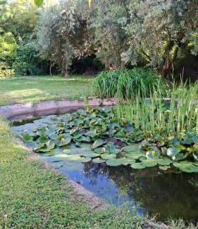 Poggio delle Ginestre Apartment | A due passi dal lago